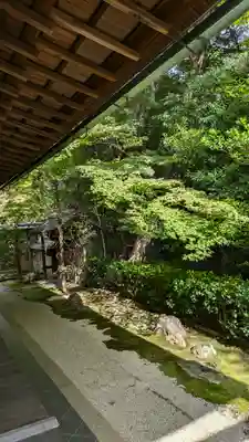 真珠庵(真珠菴)(京都府)