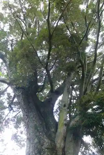 水分神社(山口県)