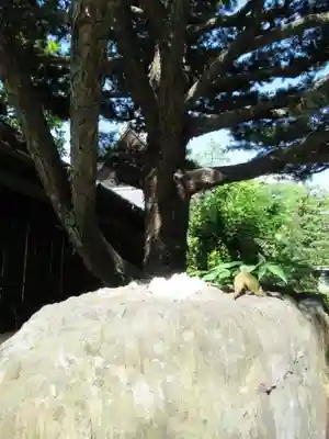 天性寺のその他建物