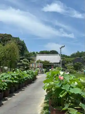 香勝寺(静岡県)