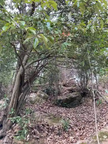 河上神社の周辺