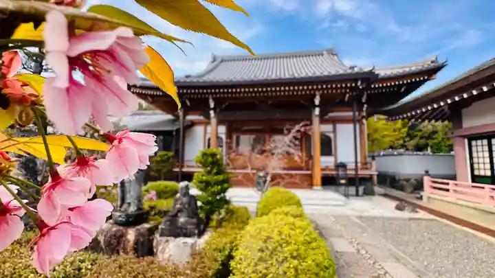 蓮華寺(京都府)