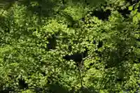 国宝 大法寺(長野県)