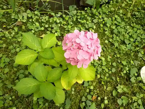 花巻神社(岩手県)