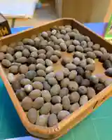 上行寺(静岡県)