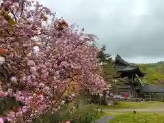 菅谷寺の自然