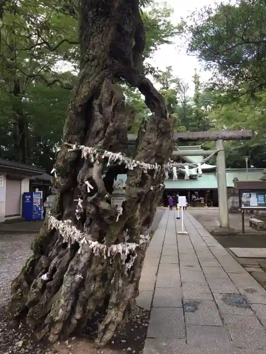 一言主神社のその他建物
