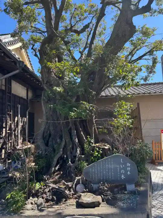 日枝神社の{uncategorized: "未分類", other: "その他", undefined: "問題あり", building: "その他建物", grave: "お墓", sacred_gate: "鳥居", guardian: "狛犬", statue: "像", buddha: "仏像", history: "歴史", nature: "自然", garden: "庭園", animal: "動物", pagoda: "塔", temizu: "手水舎", mountain_gate: "山門・神門", sanctuary: "本殿・本堂", subordinate: "末社・摂社", art: "芸術", scenery: "景色", jizo: "地蔵", ema: "絵馬", goshuin: "御朱印", omikuji: "おみくじ", items: "授与品その他", amulet: "お守り", goshuincho: "御朱印帳", eats: "食事", festival: "お祭り", votive_dance: "神楽", shichigosan: "七五三参", wedding: "結婚式", experience: "体験その他", initially: "初詣", around: "周辺", anti_infection: "感染症対策"}