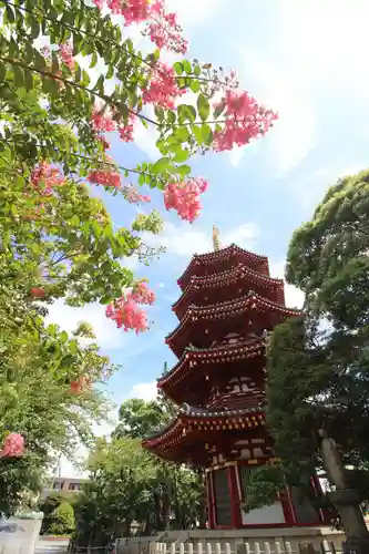 川崎大師（平間寺）(神奈川県)