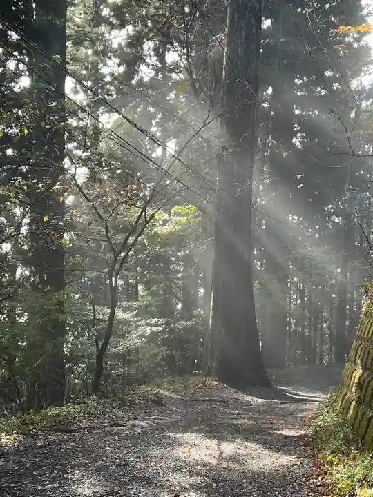 武蔵御嶽神社奥の院(東京都)