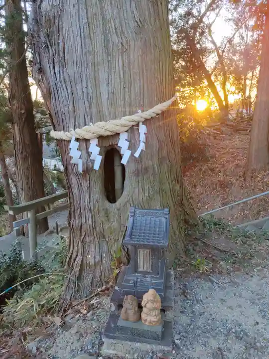 阿久津「田村神社」(郡山市阿久津町)旧社名:伊豆箱根三嶋三社(福島県)