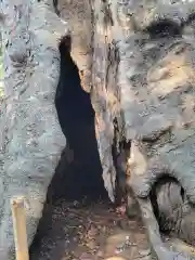 大國魂神社の自然