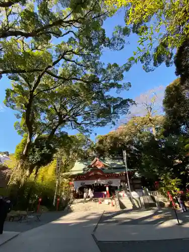 來宮神社の自然