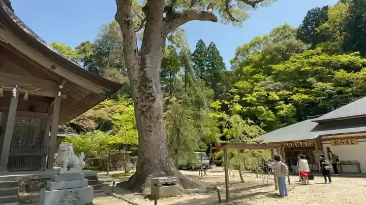 宝満宮竈門神社(福岡県)