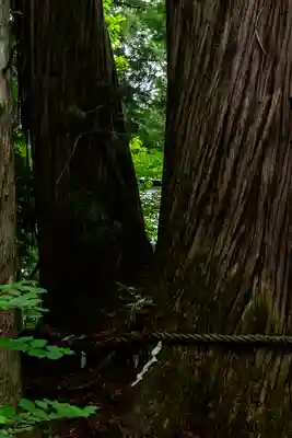 戸隠神社火之御子社(長野県)