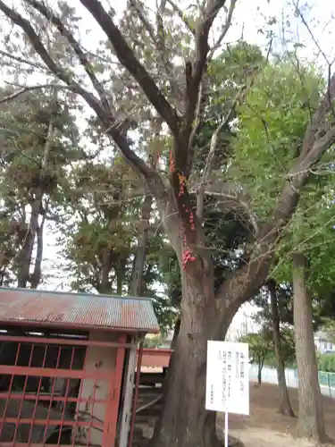 香取神社(千葉県)