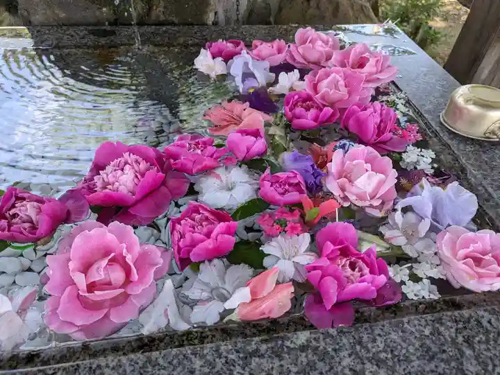 豊龍神社(山形県)