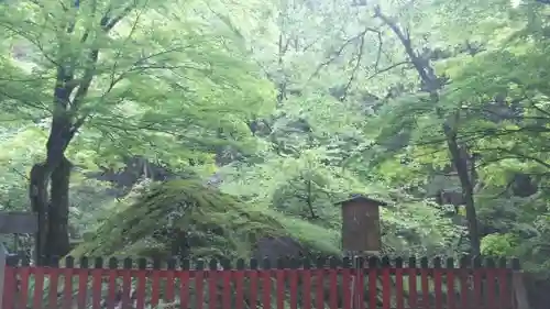 貴船神社の自然