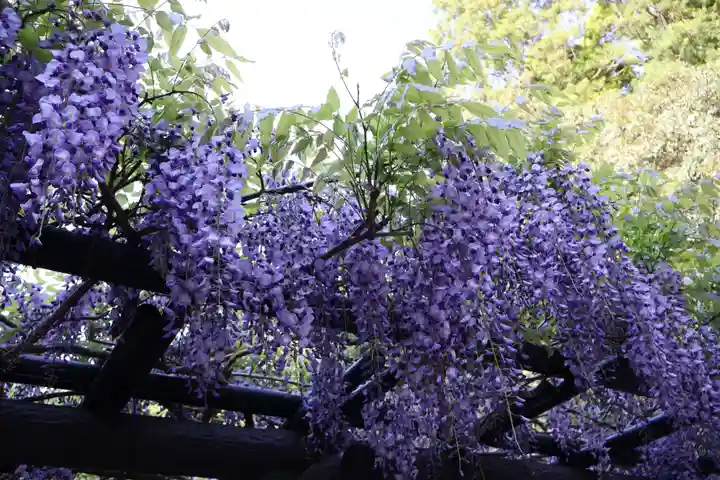 鹿島神宮(茨城県)
