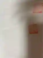 本妙寺(千葉県)