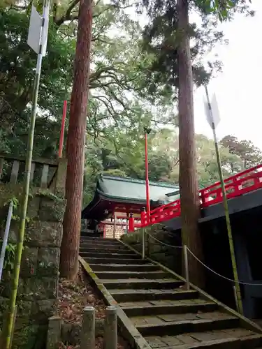 八幡朝見神社の自然