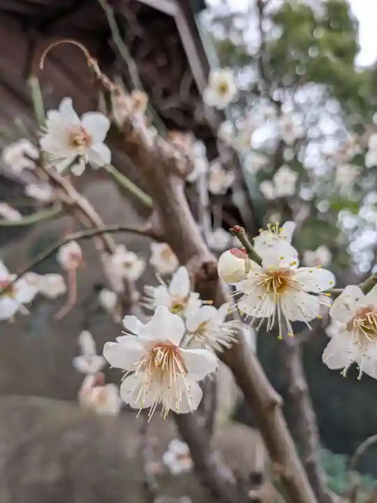 田端神社(東京都)