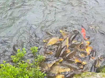 喜見院(滋賀県)