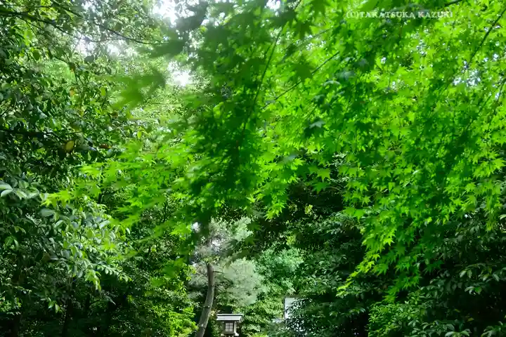 寒川神社(神奈川県)