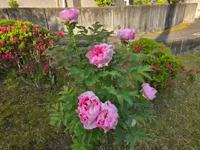 地蔵院 (室生寺塔頭)(奈良県)