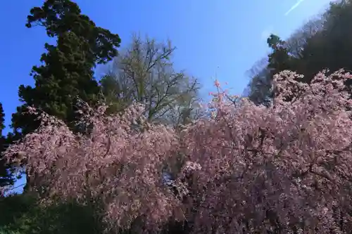 来福寺の庭園