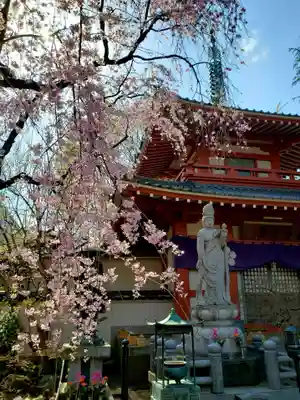 新井薬師(梅照院)の本殿・本堂