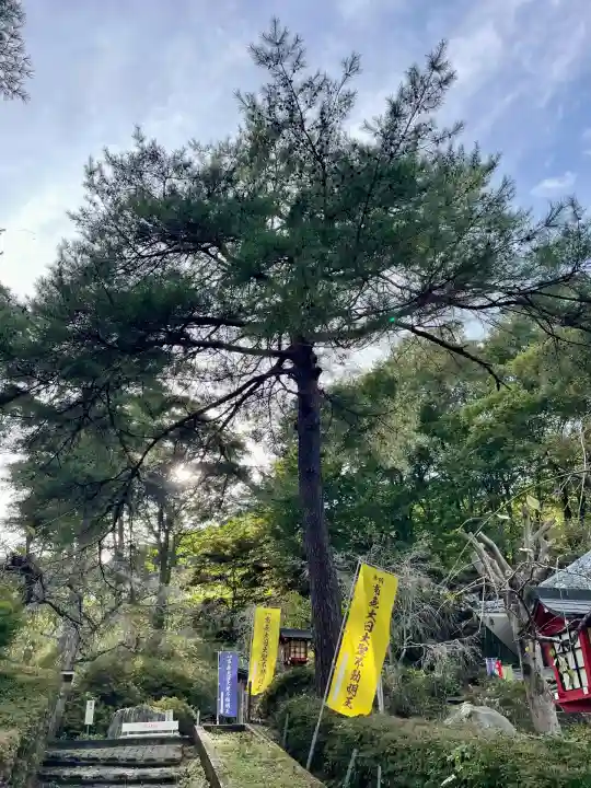 不動寺(埼玉県)