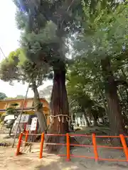 息栖神社(茨城県)