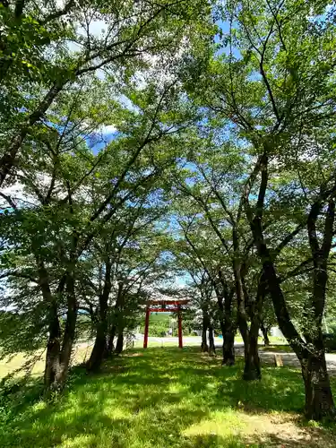 子檀嶺神社の鳥居