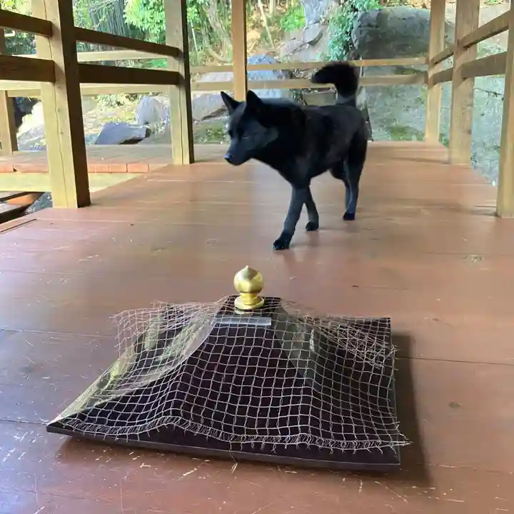 定林山 能成寺の動物