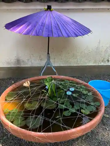 興国寺(和歌山県)