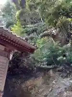 赤岩神社(静岡県)