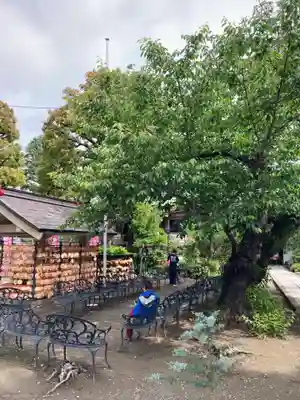 今戸神社(東京都)
