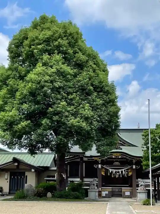 若宮神社の本殿・本堂