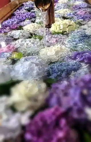 鶴岡八幡宮の手水舎