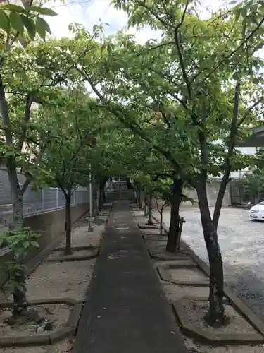 老松神社(福岡県)