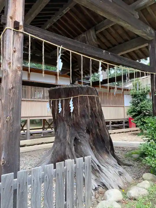 須賀神社(栃木県)