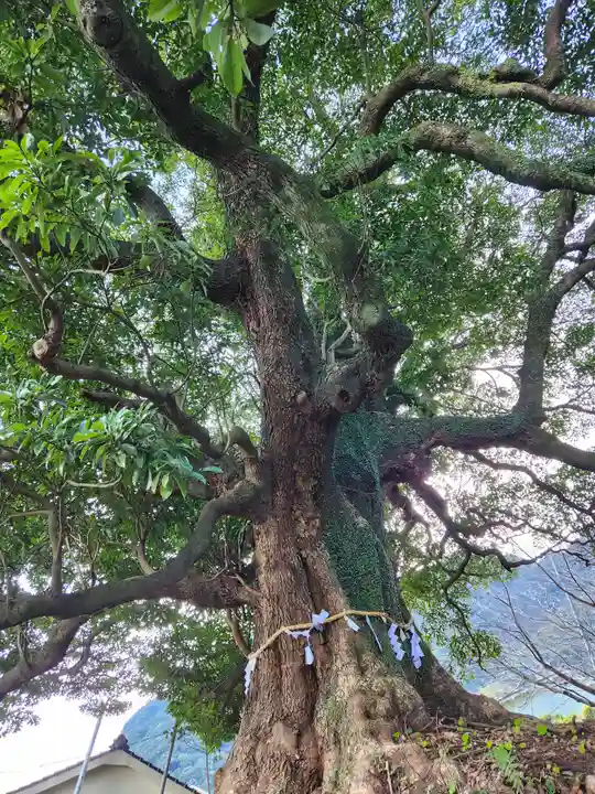 白濱神社(鹿児島県)