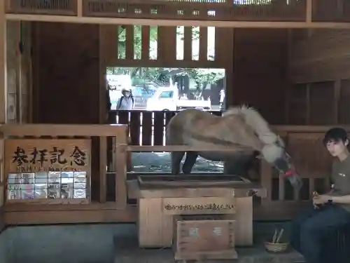 平塚八幡宮(神奈川県)