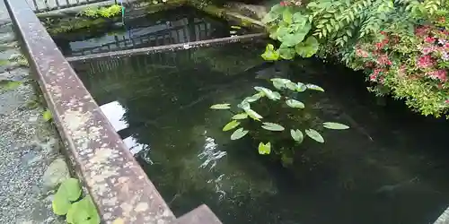飛驒一宮水無神社(岐阜県)