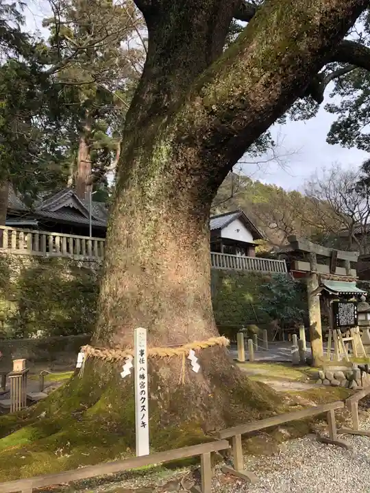 事任八幡宮の自然