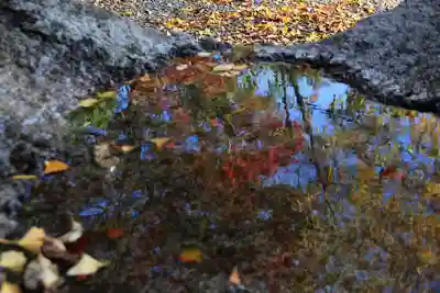 王宮伊豆神社の手水舎