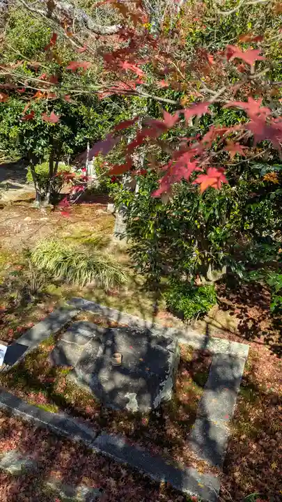 法金剛院(京都府)