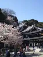 長谷寺の本殿・本堂