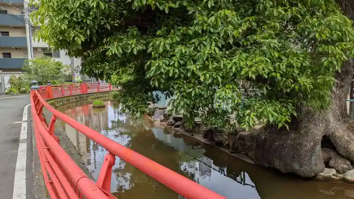 天津神社の庭園